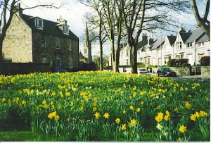 spring_in_ferryhill-_-_geograph-org-uk_-_111850